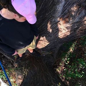 Meet your Posher, Dyllan